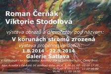Galerie Šatlava: V korunách stromů zrozená