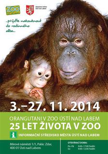 Výstava "Orangutani v ZOO Ústí nad Labem - 25 let života v Zoo" 