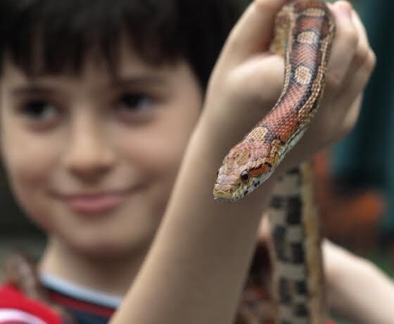 Děčínská zoo má našlápnuto k návštěvnickému rekordu!