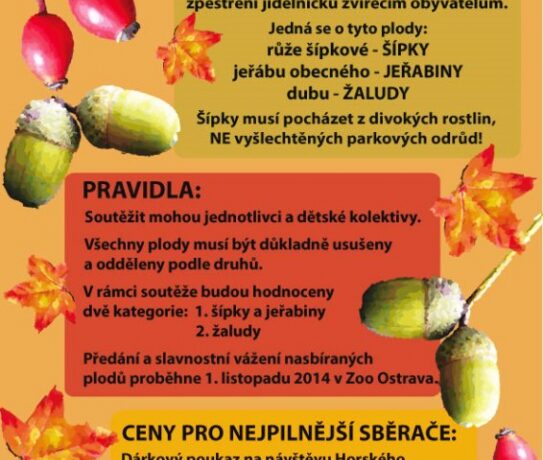 Zoo Ostrava vyhlašuje soutěž ve sběru podzimních plodů