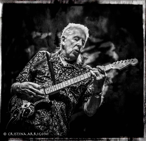 Al Di Meola, Suzanne Vega, John Mayall a Fred Wesley posílí hudební program Plzně 2015
