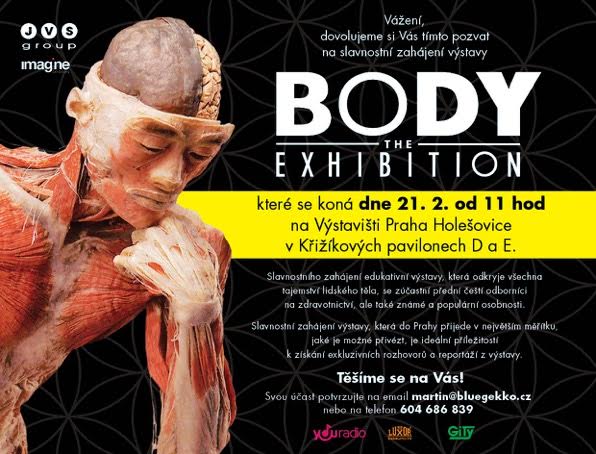 Do Prahy přijede výstava odhalující všechna tajemství lidského těla  Body The Exhibition