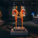 Výstava Body The Exhibition odhaluje největší tajemstvi fungování lidského těla