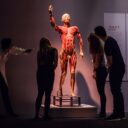 Výstava Body The Exhibition odhaluje největší tajemstvi fungování lidského těla