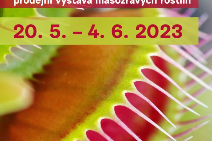 České masožravé rostliny i vzácné „masožravky“ ze Stolových hor. Tento týden začíná prodejní výstava Živé pasti