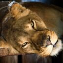 Zoopark Olovnice je kouzelné místo pro malé i velké
