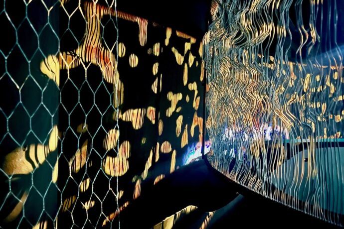 Lumia Gallery – světelná imaginace bez hranic