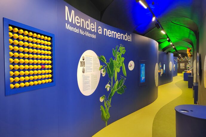 Mendelovo muzeum Masarykovy univerzity