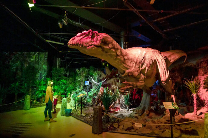 Celoročně otevřený krytý DinoPark najdete v Liberci!