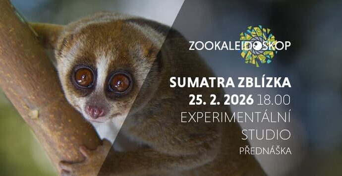 ZooKaleidoskop – Sumatra zblízka – Experimentální studio Lidové sady