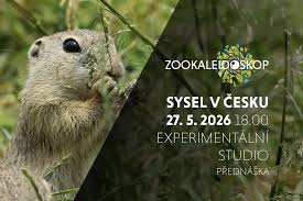 ZooKaleidoskop – Sysel v Česku – Experimentální studio Lidové sady