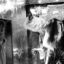 Absolutno / Karel Čapek, Egon Tobiáš a kol. – Dejvické divadlo v Galaxii