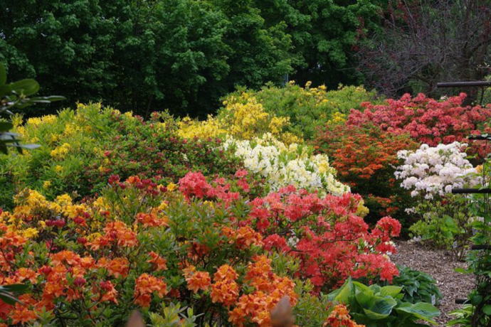 Botanická zahrada Liberec