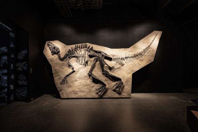 Foto: ©Dinosauria Museum Prague