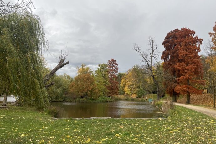 Stromovka, Královská obora Praha foto: muf