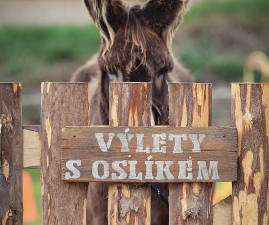 Oslí stezka Svárov
