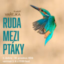 RUDOLF VAŘEJKA: Ruda mezi ptáky