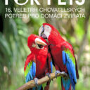 Veletrh FOR PETS v Praze: ráj pro milovníky zvířat