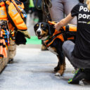 Veletrh FOR PETS v Praze: ráj pro milovníky zvířat