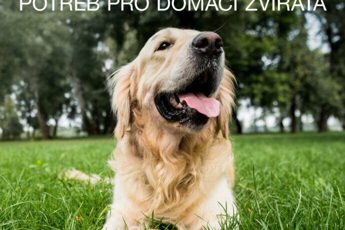 Veletrh FOR PETS v Praze: ráj pro milovníky zvířat