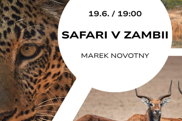 Safari v Zambii