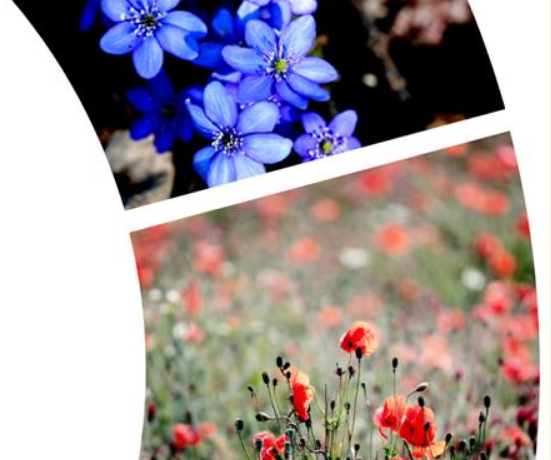 Foto © zameknovyhrad