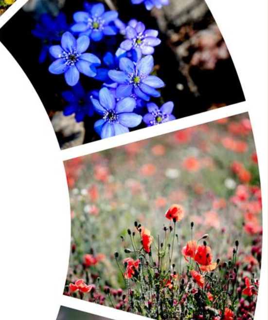 Foto © zameknovyhrad