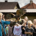 Školní výlet na hrad Švihov se sokolníkem