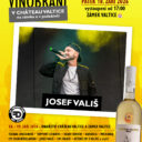 Vinobraní v CHÂTEAU VALTICE (na zámku a v podzámčí)