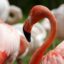 Zoo Liberec