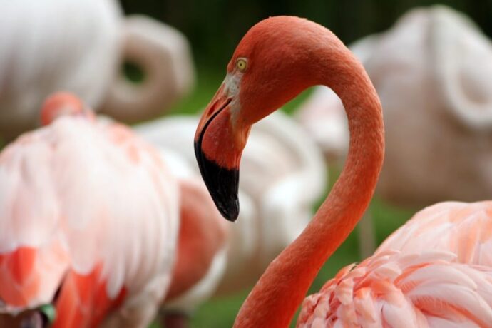 Zoo Liberec