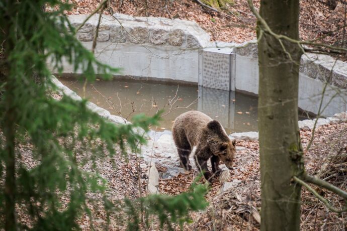 Medvědí stezka v Krkonoších. Foto © Jan Bartoš